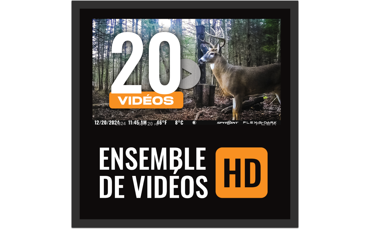 Vid&eacute;o Full-HD sur demande
